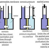 osmosis2